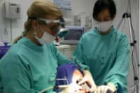 Научные открытия 21 века. Проходят испытания стоматологического геля для восстановления зубов